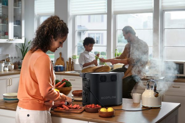 EcoFlow E980 - Imagen 2
